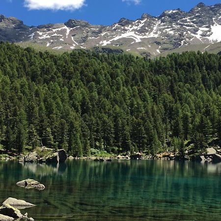 Chasa Sassalbo Bed & Breakfast Poschiavo Dış mekan fotoğraf