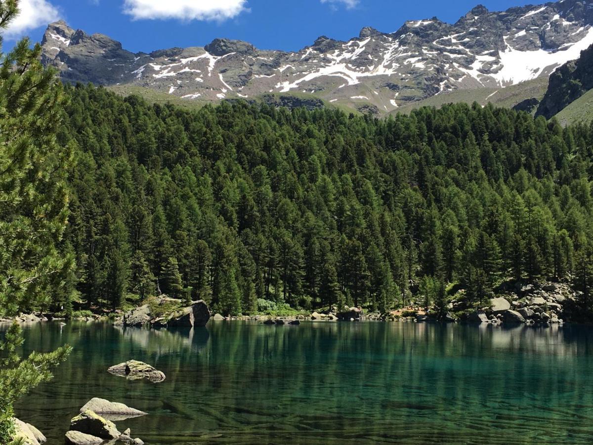 Chasa Sassalbo Bed & Breakfast Poschiavo Dış mekan fotoğraf