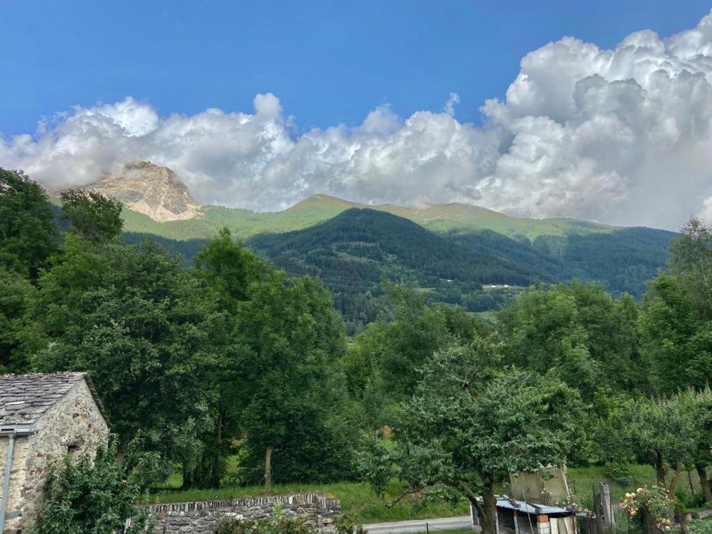 Chasa Sassalbo Bed & Breakfast Poschiavo Dış mekan fotoğraf
