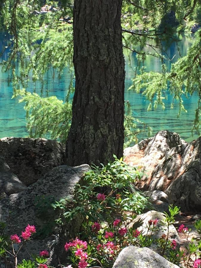 Chasa Sassalbo Bed & Breakfast Poschiavo Dış mekan fotoğraf
